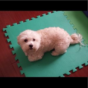 Meet your Posher, John